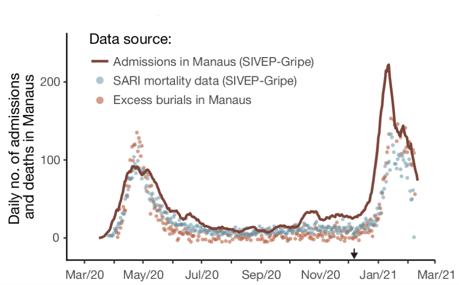 Daily hospital admissions and deaths in Manaus, March 2020 to March 2021