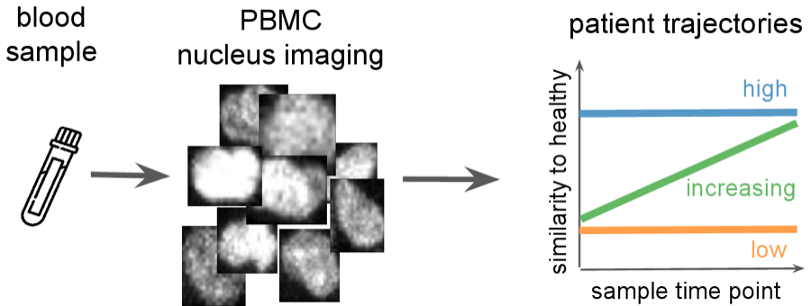 Schematic: blood sample to PBMC nucleus imaging to patient similarity trajectories
