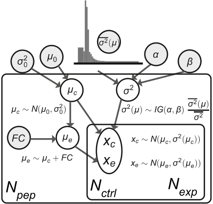 Graphical model of the peptide-level simulation used to benchmark statistical tests